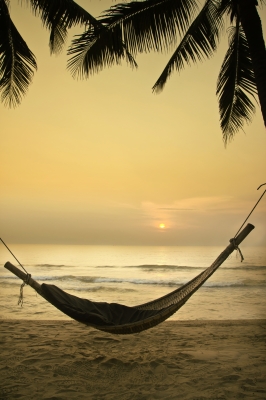 Graybit - RTW Travel - Beach Hammock Winnond