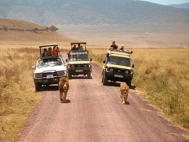 Graybit www.graybit.com - World travel blog family holiday vacation website - Ngorongoro Crater Tanzanian Experiences for your Next Holiday