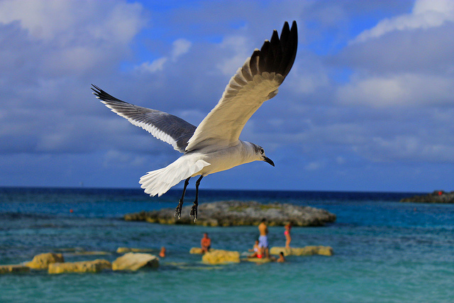 Caribbean view